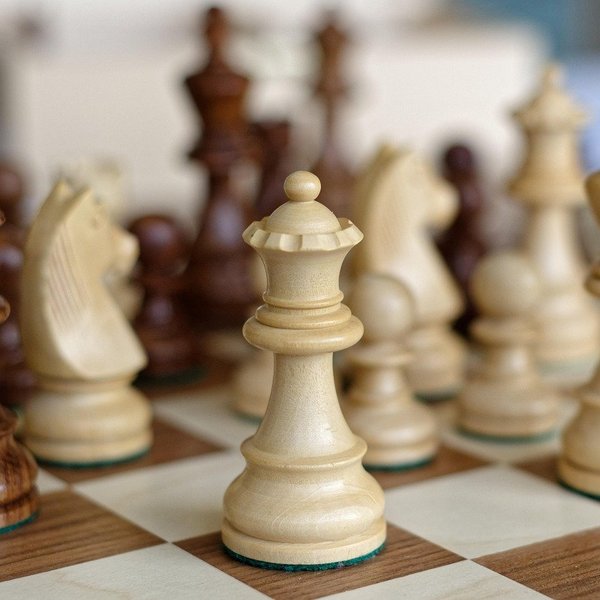  - Copyright: Urszula auf Pixabay