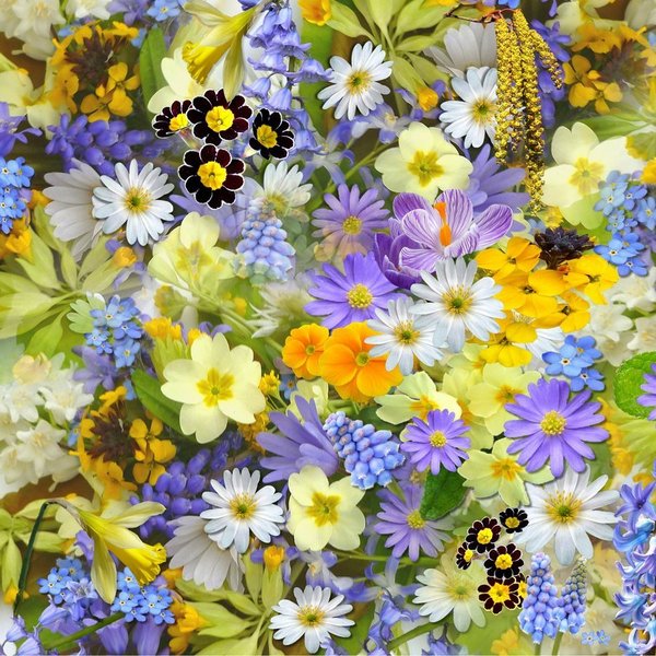  - Copyright: Shirley Pixabay